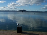 lake Rotorua on cruise ship tour from Tauranga